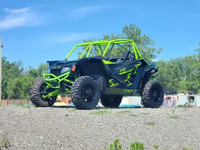 Wildcat XX Limited 998cc EFI 3-cylinder Engine Electronic Power Steering 2WD/4WD Electric Actuation...