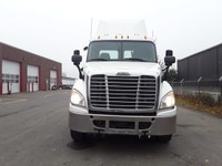 2019 Freightliner Cascadia 125 Ryder Stock ID: 803506 Transmission Type/Speed: AUTO 13 Engine: DIESE... (image 1)