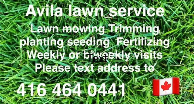 Lawn mowing, grass cutting, landscaping, weed removal, trimming632348054768651214
