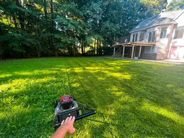 Lawn mowing and Handyman63008305038083129