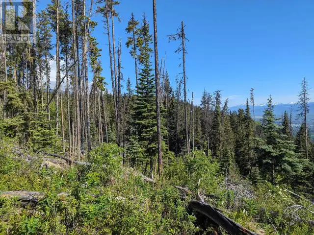 LOT A HUDSON BAY MOUNTAIN ROAD Smithers, British Columbia in Land for Sale in Smithers - Image 11