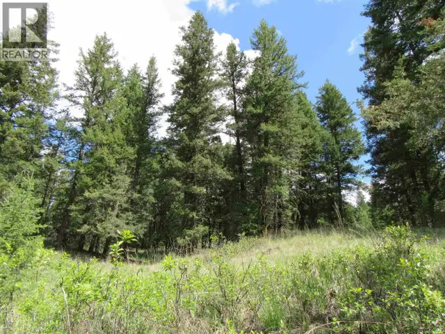 DL 2808 DONOVAN ROAD Lac La Hache, British Columbia in Land for Sale in 100 Mile House - Image 8