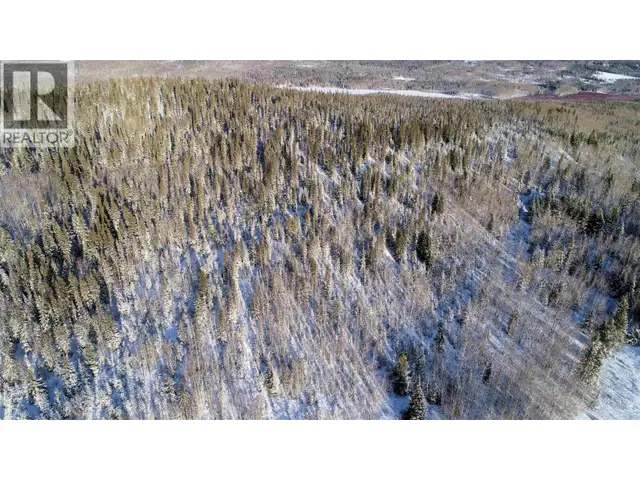 FRAC N1/2 DL 2557 BINTA ROAD Burns Lake, British Columbia in Land for Sale in Burns Lake - Image 11