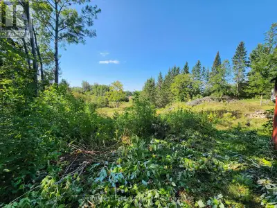 Buy your retirement lot, and build your dream house. Only a 8 minute drive from the local grocery st...