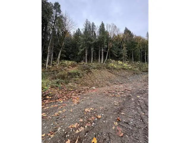 41768 BOWMAN ROAD, Vedder Mountain Yarrow, British Columbia in Land for Sale in Chilliwack - Image 18