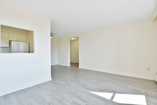 Parkwood Hills - Two Bedroom Suites for Rent in Skyline in Long Term Rentals in Ottawa - Image 3