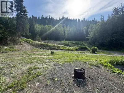 Discover the perfect place to build your dream home or getaway on this private and peaceful 4+ acre...