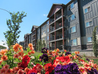 Edmonton 2 Bedroom Apartment for Rent: