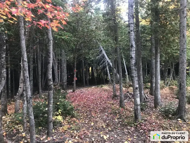 $89,000 - Residential Lot in Rimouski (Ste-Odile-Sur-Rimouski) in Land for Sale in Rimouski / Bas-St-Laurent - Image 4