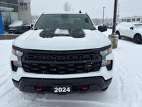 Trail Boss, Low Km's, 5.3L, Dark Essentials Pkg, Black Assist Steps, Tow Pkg W/Trailer Brake Control... (image 5)