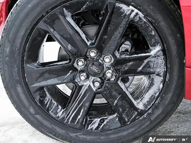 2025 Ford F-150 LOBO in Cars & Trucks in Edmonton - Image 8