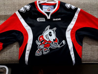 Niagara IceDogs, Toronto Maple Leafs and other Sports Jersey's