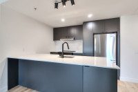 Condo appartement NEUF à louer- logement locatif-nouveau-luxe-2 bedrooms/chambres-4.5 4 1/2-loft-2cc... (image 1)