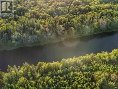 A serene and peaceful lifestyle awaits with this 10.25 acre lot set on the banks of St Mary's River....