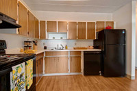 Spacious & Bright Renovated 1 Bedroom - Downtown!