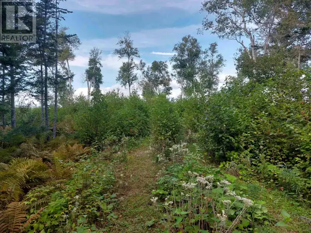 Lot 23 Sky Way Big Harbour, Nova Scotia in Land for Sale in Cape Breton - Image 9