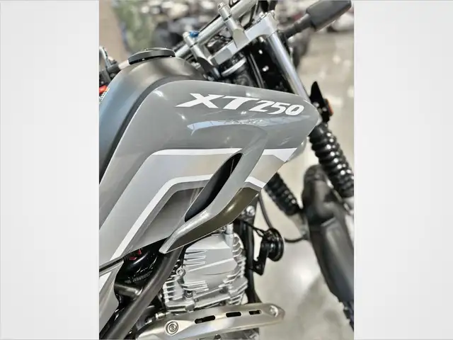 2024 Yamaha XT250 in Street, Cruisers & Choppers in Grand Bend - Image 6