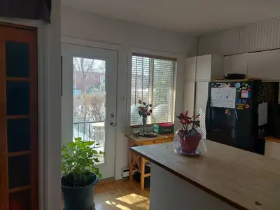 Bonjour, je suis actuellement à la recherche d'une colocatrice de préférence une femme pour un très...