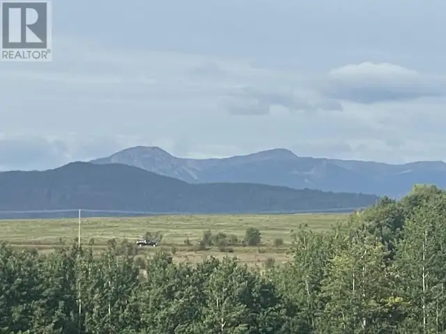 4421 TYHEE LAKE ROAD Telkwa, British Columbia in Land for Sale in Smithers - Image 28