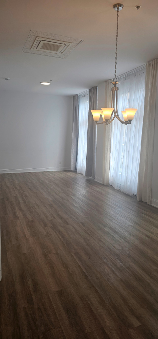 3 1/2 MODERNE, REZ-DE-CHAUSSÉE, THERMOPOMPE, CHATEAU LAVIOLETTE dans Locations longue durée  à Trois-Rivières - Image 4