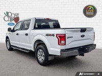 Rose City Ford | Running Boards | Class IV Trailer Hitch | Engine Block Heater | Back Up Camera | Co... (image 3)