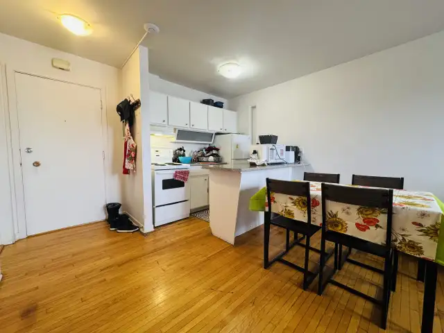 Appartement 3 ½ à louer Sainte-Foy / Sillery juillet 2026 in Long Term Rentals in Lévis - Image 2