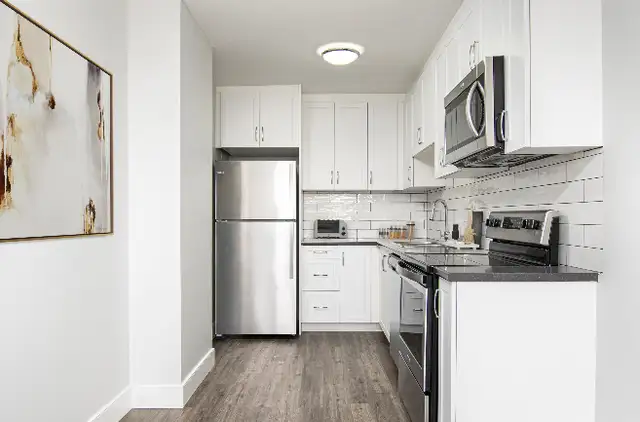 Primrose Street - 1 Bedroom 1 Bath Apartment for Rent in Long Term Rentals in Dartmouth - Image 4