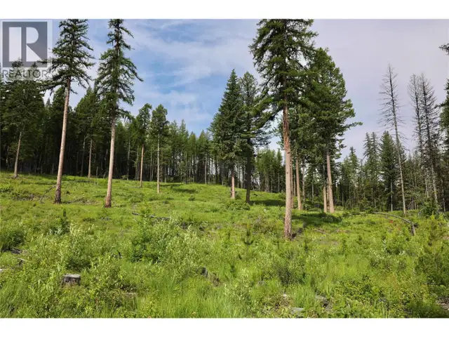 2375 BELCHROME FSR Road Bridesville, British Columbia in Land for Sale in Penticton - Image 13