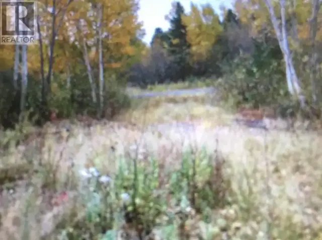 260A Main Street Embree, Newfoundland & Labrador in Land for Sale in Gander - Image 3