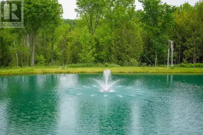 The city's chaos screaming horns, packed streets, lights that never dim grinds you down. You dream o...