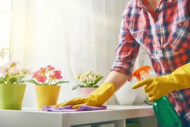 Residential cleaning servcies448294804123832328