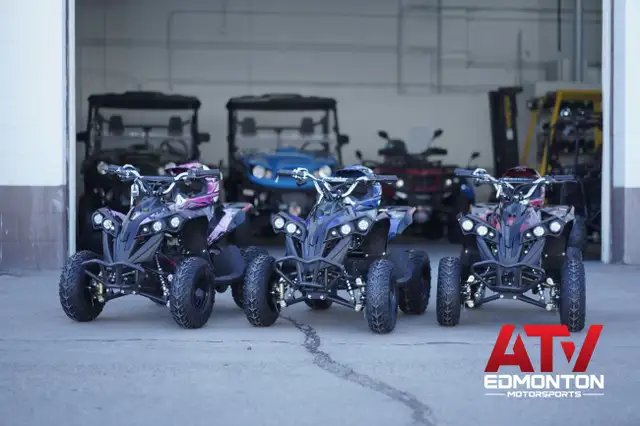 Brand New Electric Quad Genesis - Electric ATV 1000w For Kids On in ATVs in Edmonton - Image 3