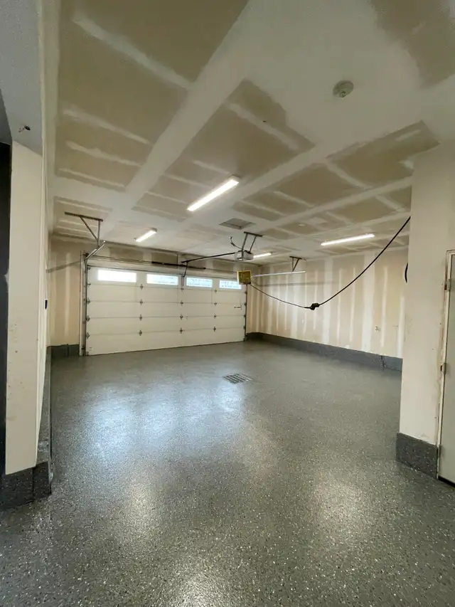 Professional & Reliable Painter598688517147207688