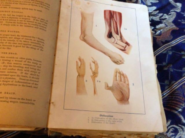 Collectable antique book on family health in Arts & Collectibles in Belleville - Image 3