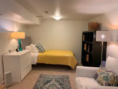 Cute Studio  Apartment (baseement) in Roncesvalles.