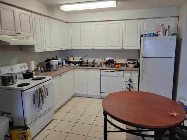 Male Student Housing in Waterloo - Students Only in Long Term Rentals in Kitchener / Waterloo - Image 7