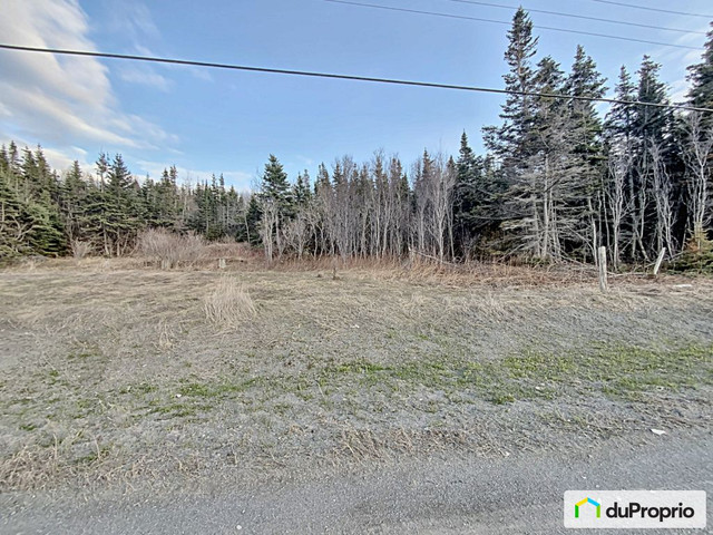 140 000$ - Terrain résidentiel à vendre à Métis-Sur-Mer dans Terrains à vendre  à Rimouski / Bas-St-Laurent - Image 3