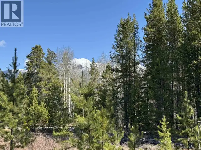 1030 18TH AVENUE Valemount, British Columbia in Land for Sale in Quesnel - Image 5