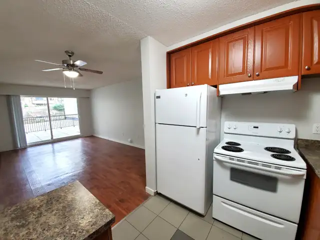 Bright 1 bedroom with Den