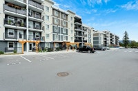 Willows Crossing is Broadstreet’s second property in North Cowichan, offering 1, 2, and 3 bedroom, p... (image 2)