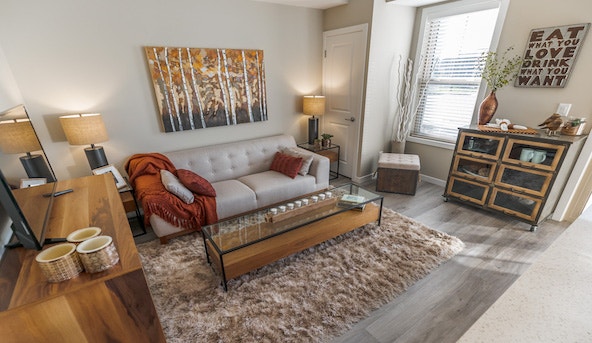 Parliament Rentals - 2 Bed 1 Bath Apartment for Rent 5