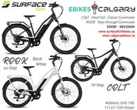 SURFACE604 COLT/ROOK 48V20A Calgary Alberta Preview