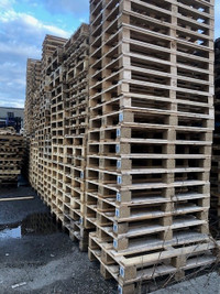 ongoing euro size pallet for sale 905-670-9049 toronto pallet