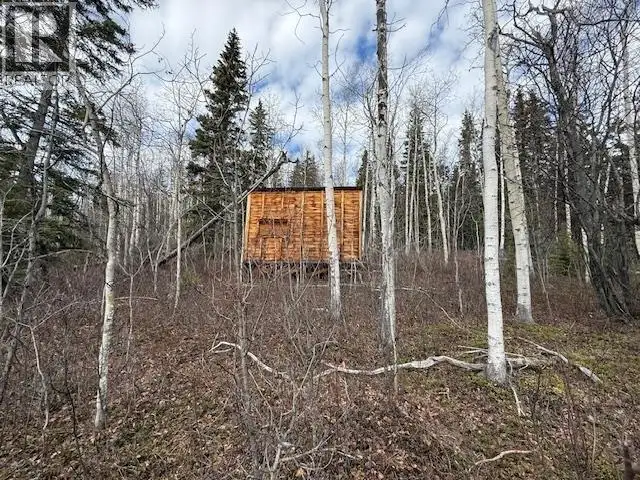 14035 COLLEYMOUNT ROAD Burns Lake, British Columbia in Land for Sale in Burns Lake - Image 3