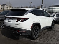 Crowfoot Hyundai, AMVIC Licensed Dealer Mileage: 38,279 km History: No accidents, One Owner Skip the... (image 6)