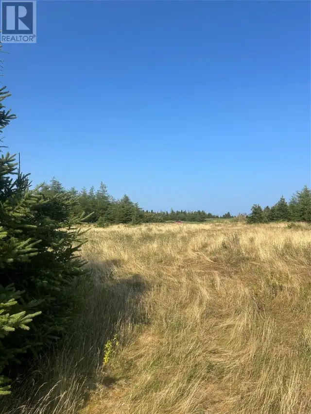 0 Beaver pond Road Road Roaches Line, Newfoundland & Labrador in Land for Sale in St. John's - Image 3