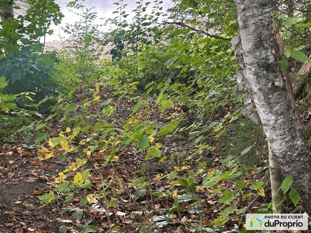 $89,000 - Residential Lot for sale in St-Roch-De-Mekinac — photo 3