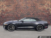 Come see this 2022 Ford Mustang GT Premium before it's too late! *Get Your Money's Worth for this Fo... (image 1)