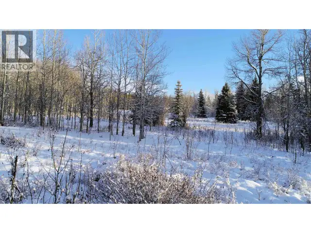 FRAC N1/2 DL 2557 BINTA ROAD Burns Lake, British Columbia in Land for Sale in Burns Lake - Image 17