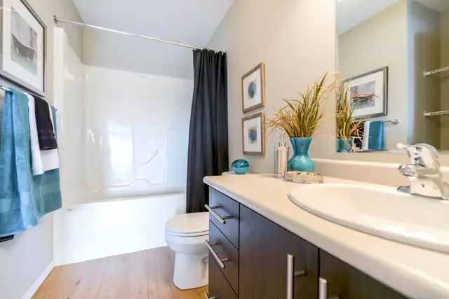 Pet-Friendly One Bedroom One Bath with In-suite Laundry for Rent in Long Term Rentals in Edmonton - Image 16